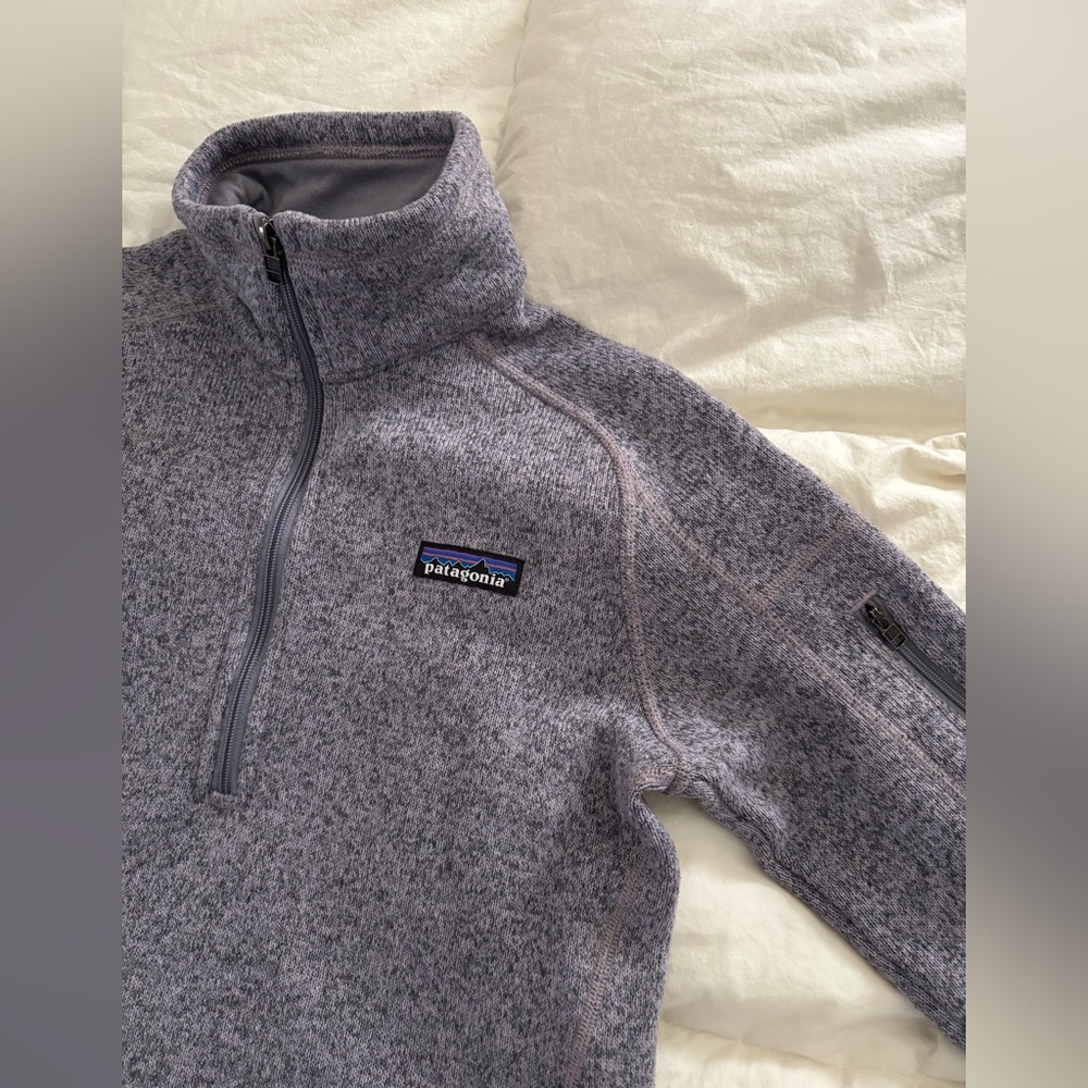 Patagonia Better Sweater purple/gray